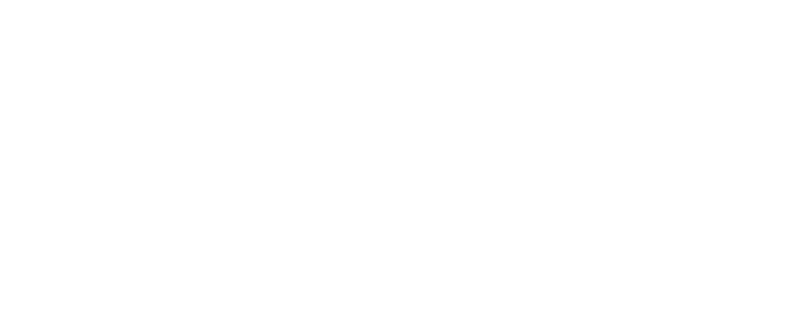 Wiki Logo